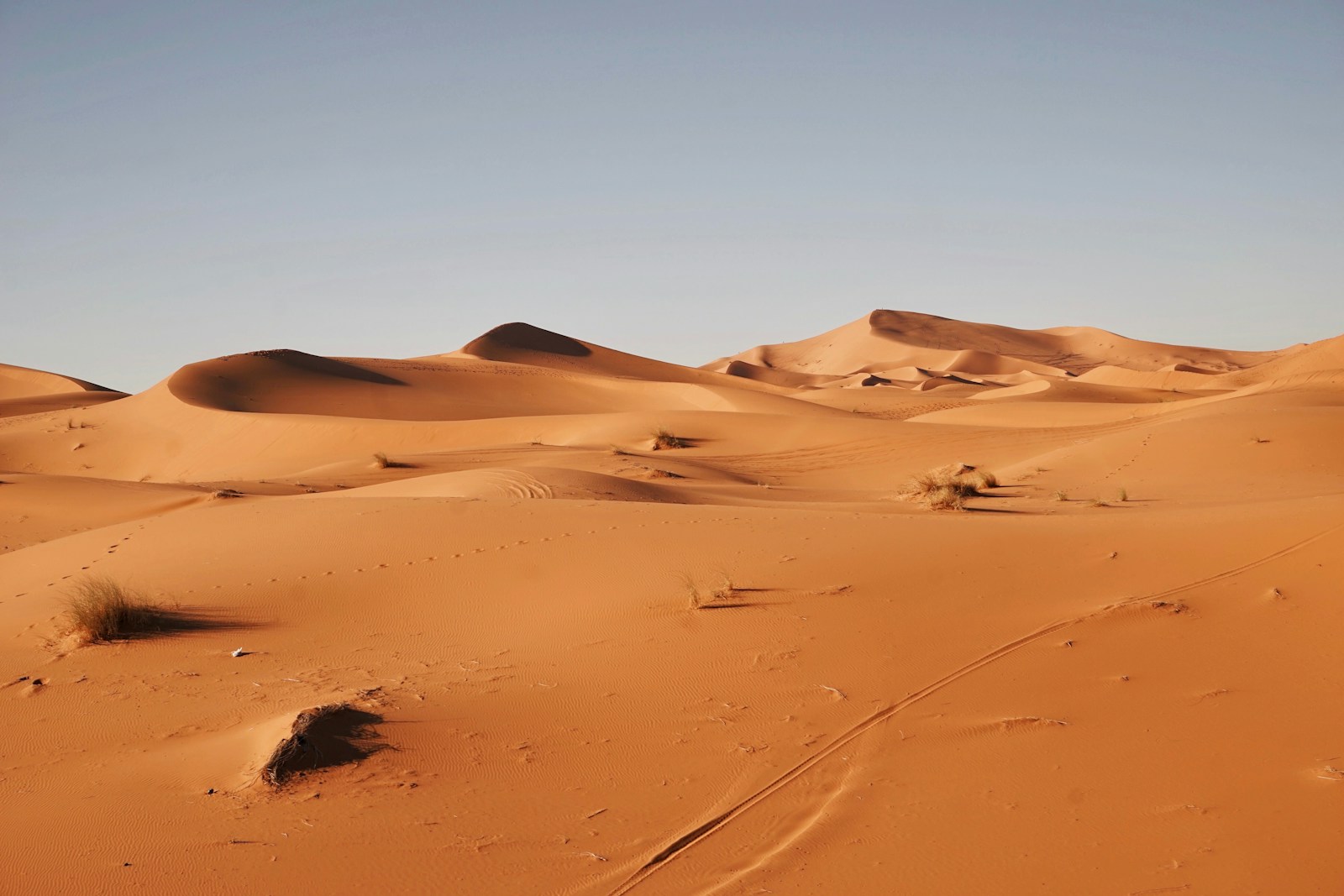 Au cœur du Sahara : l’odyssée des dunes marocaines