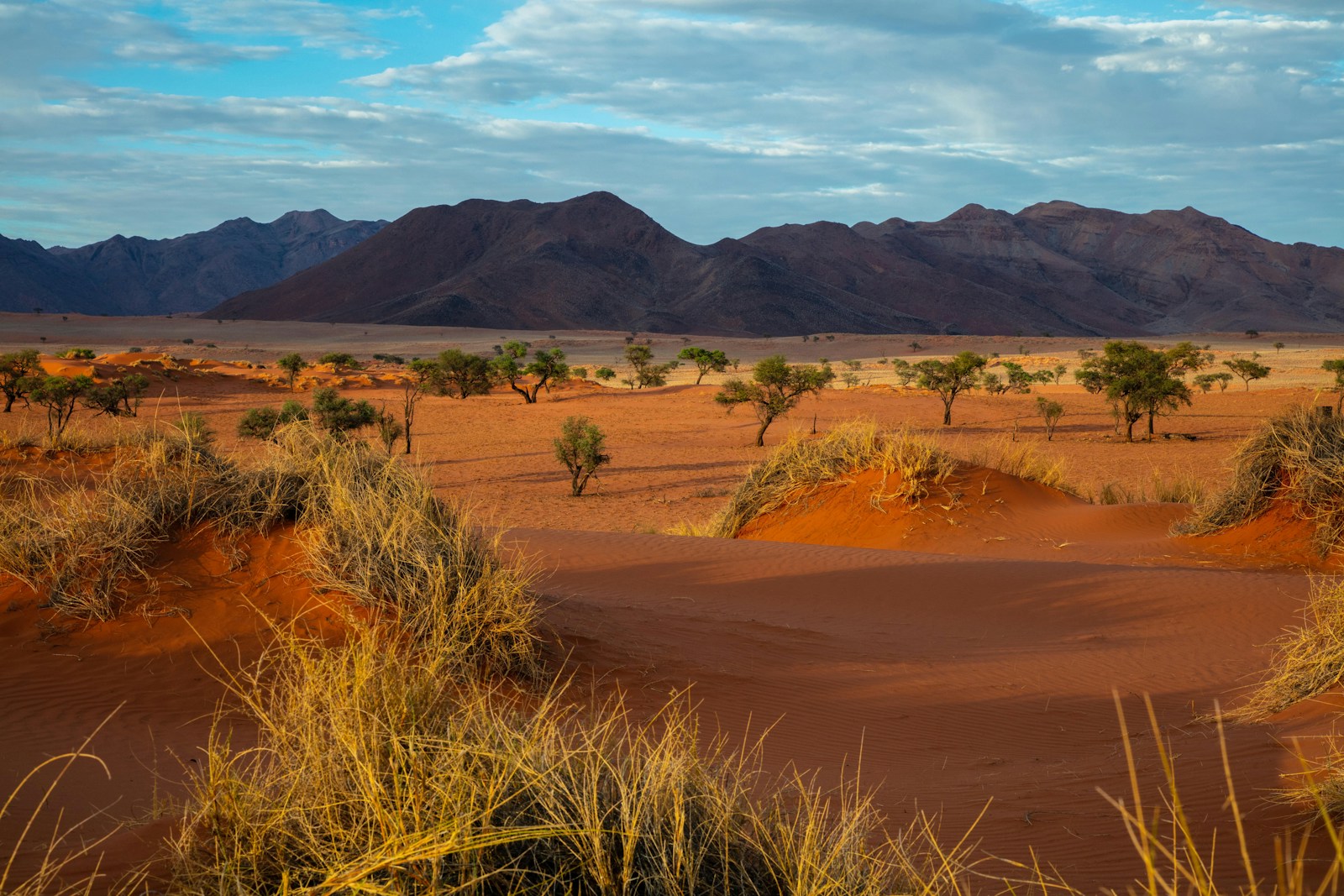 Autotour en Namibie : à la rencontre des merveilles naturelles africaines
