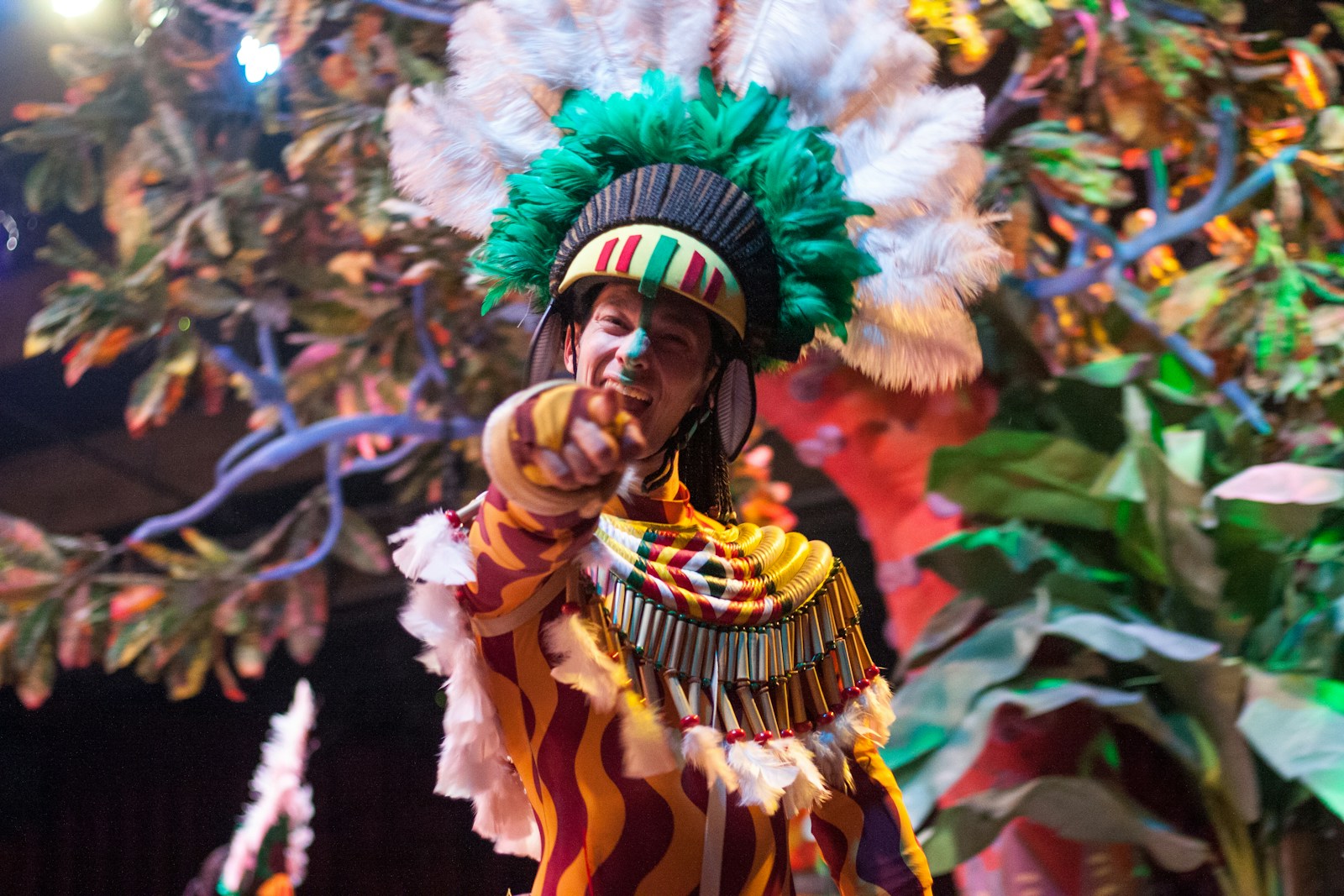 Carnaval de Rio : couleurs et rythmes du Brésil